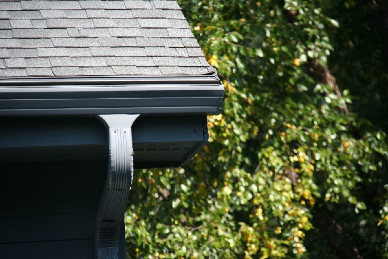 Roofing tree background