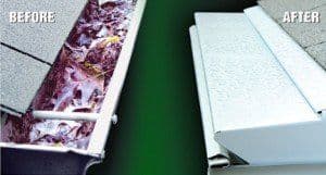 1_leafproof_Before_After