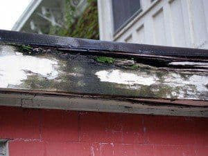 Gutter red